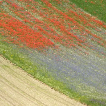 Folignocentro Pensión