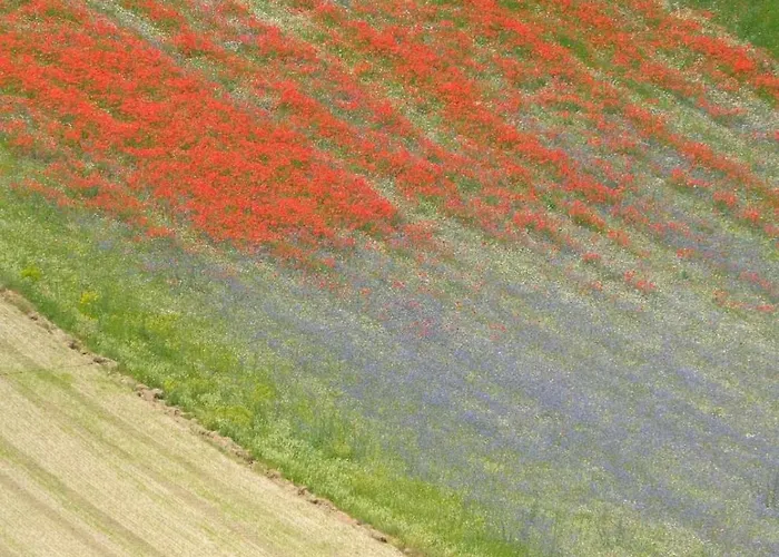 Folignocentro Gæstehus